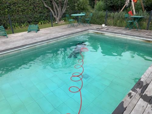 Golfe detection - Inspection piscine Fuite