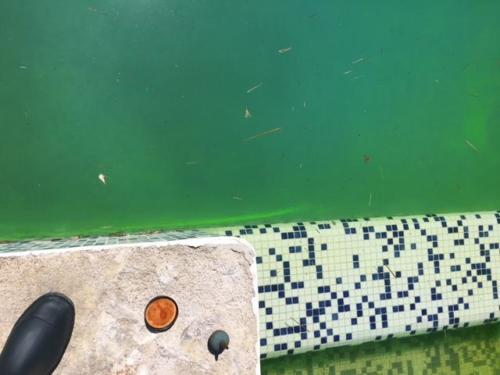 Recherche Fuite Piscine Fluoricine - Golfe Detection