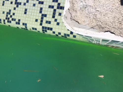 Recherche Fuite Piscine Fluoricine - Golfe Detection