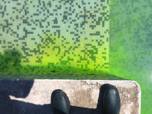 Recherche Fuite Piscine Fluoricine - Golfe Detection