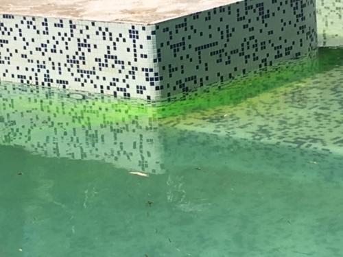 Recherche Fuite Piscine Fluoricine - Golfe Detection